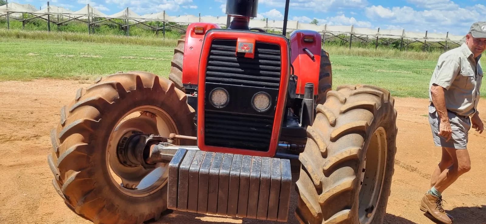 MF tractor - image 4