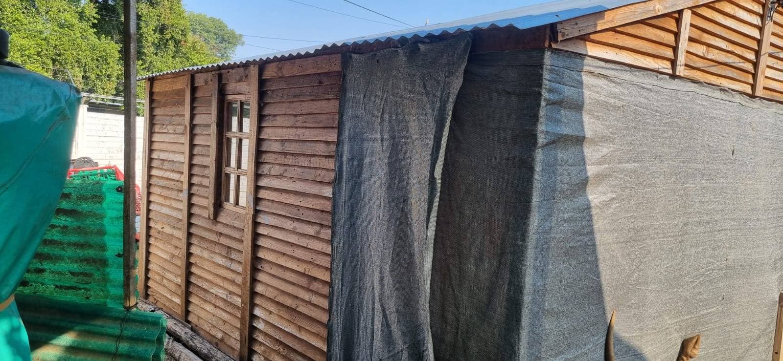 Wendy Huis - image 2