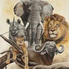 Bushveld Online Auction