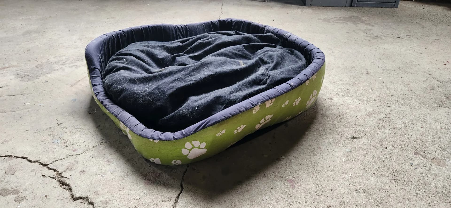 Doggy bed