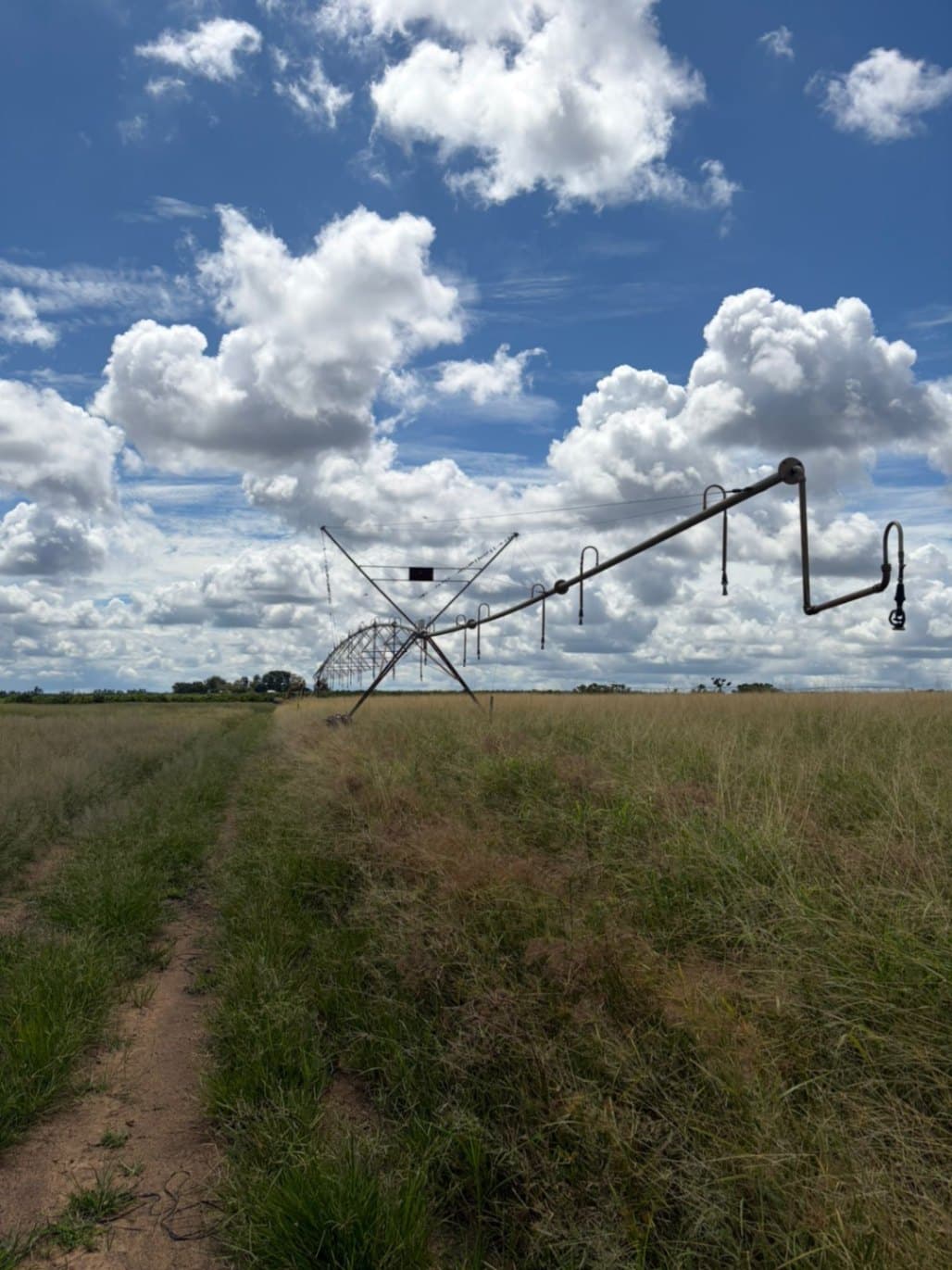 2.5Ha Verskuifbare Spilpunt